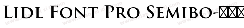 Lidl Font Pro Semibo字体转换